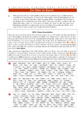 Ein Stein im Bauch.pdf